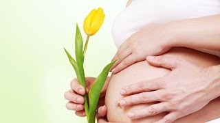 Cómo ESTIMULAR a mi BEBÉ en el VIENTRE🤰🏻🎼🎵 5 IDEAS de ESTIMULACIÓN PRENATAL❤️👶🏻 [upl. by Ahseet]