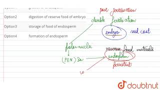 The aleurone layer of endosperm in monocot seed is related to [upl. by Flosser]