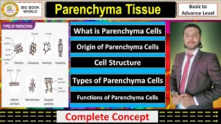 Parenchyma Tissue  Types of Parenchyma  Simple Permanent Tissue  Complete Detail [upl. by Amathiste]