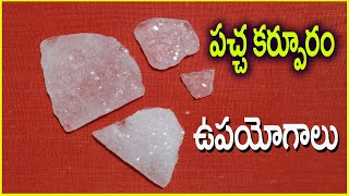 నరాలకు ఉత్తేజాన్ని కలిగించే పచ్చకర్పూరం Home Remedies Herbal ChitkaSNagender [upl. by Nerhtak]