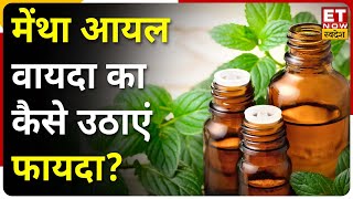 Mentha Oil Production का समझे गुणा गणित Mentha Oil पर Trade की जानें रणनीति   Commodity Ki ABCD [upl. by Ocirne]