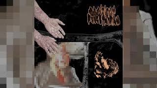 Malevolent Pescetarian  Atherosclerosis Split  Gorenoise  Goregrind  2023 [upl. by Amatruda631]