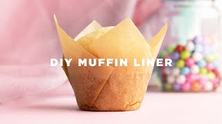 How to Make Cupcake Liners [upl. by Novihs]