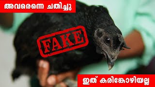 അവരെന്നെ ചതിച്ചു ഇത് കരിംങ്കോഴിയല്ല They stuck to me and this is not Kadaknath Chicken agrownews [upl. by Aliel]