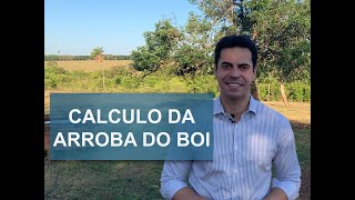 ARROBA DO BOI  APRENDA A FAZER O CÁLCULO [upl. by Elletsirk]