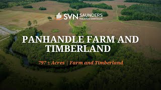 Panhandle Farm and Timberland  797 ± Acres  For Sale in Vernon FL [upl. by Annahgiel]