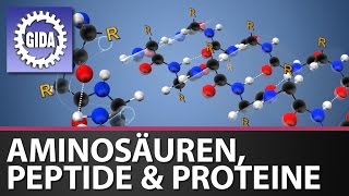 Trailer  Aminosäuren Peptide und Proteine  Chemie  Schulfilm [upl. by Dimo]