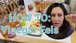 How to Start Vinegar Eel Culture amp Harvest Vinegar Eels [upl. by Antoni]