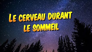 Psychologie  Les parties du cerveau impliquées dans le sommeil [upl. by Nirrej189]