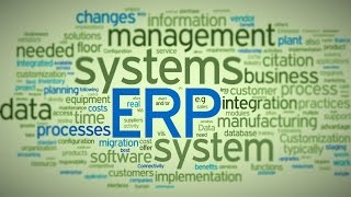 What is ERP OMNI [upl. by Ynad]