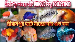 Exotic Fish Market Low Price🔥বিদেশী মাছের বাজার কম দামেরSerampore Fish Market New Update [upl. by Cherrita]