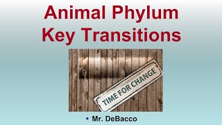 Animal Phylum Key Transitions [upl. by Adivad]