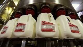 Dairy Special  Americas Heartland Episode 912 [upl. by Balliol]