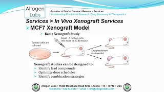 Altogen Labs MCF7 Xenograft Service Breast Cancer [upl. by Inalak]