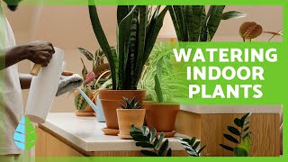 How to WATER INDOOR PLANTS 🌸💧  EXPERT Tips to Keep Your PLANTS ALIVE ⚠️ [upl. by Aleyam]