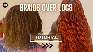 How to make braids over locs tutorial  Beginner friendly tutorial  Braiding In real time [upl. by Ruel667]