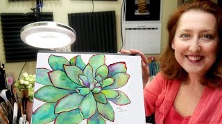 Succulents in Watercolor Tutorial amp New Addition to my Studio [upl. by Veneaux]