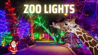 Calgary Zoo Lights Walking Tour Over 1 Million Christmas Lights [upl. by Buskus]