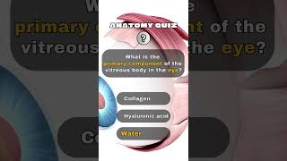 🧬🦷3 Anatomy Questions Only Experts Can Answer🔥PART №18 quiz quizgame shorts [upl. by Regni]