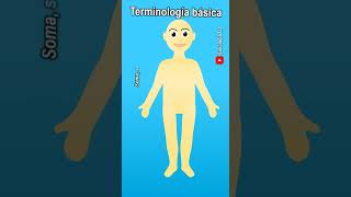 Terminología médica  Terminología de enfermería  Terminología de ciencias de la salud [upl. by Fania]