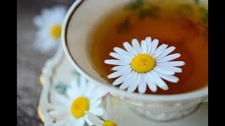 Camomile Tea Health Benefits [upl. by Jonna915]