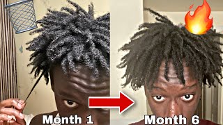 My Freeform Dread Journey Explained INSANE GROWTH [upl. by Hareehahs]