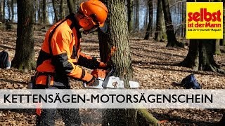 Motorsägenschein für Kettensäge [upl. by Olivette]