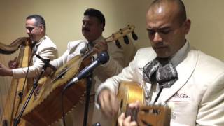 Mariachi Los Camperos LIVE  LA FONDA  Los ArrierosLas Olas featuring Tony Zuniga [upl. by Elleron828]