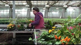 Les métiers de lhorticulture [upl. by Idac]