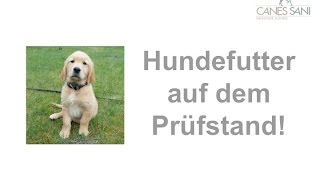 Hundefutter Füttern Sie Ihrem Hund wirklich all das was er braucht [upl. by Rosenzweig881]