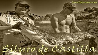 MONSTRUO DE RIO SALVAJE 2 ¡BRUTAL  PESCA DE SILURO  2017  HD [upl. by Seyah171]