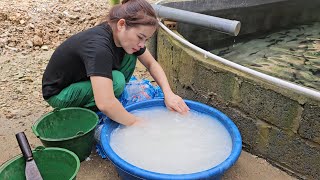 My life Ly Thi Luyen and the salt bath process for sturgeon [upl. by Amaryl103]