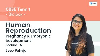 Human Reproduction  Pregnancy amp Embryonic Development  L6  Term 1  Unacademy NEET  Seep Pahuja [upl. by Laekim66]