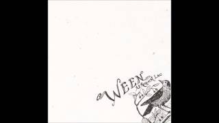 Ween  All Request Live 2003 Full Album [upl. by Eralcyram]