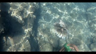 Antalya Adrasan Spearfishing for Lion Fish Uncut [upl. by Cyrilla]