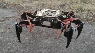 Hexapod Project [upl. by Schug51]