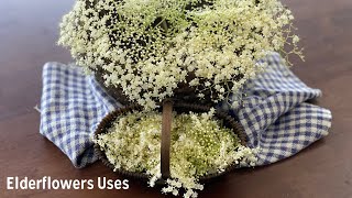 Elderflowers and How to Use Them [upl. by Eniamej]