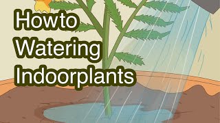 How to Watering Indoor Plantsviral shorts short youtubeshorts usa wateringtips tips [upl. by Nylyaj]