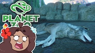 DEATH of a Wolf Pack 🐺 Daily Planet Zoo • Day 25 [upl. by Llahsram]