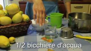 Come fare lo sciroppo di limoni per tante freschissime limonate [upl. by Divadnahtanoj]