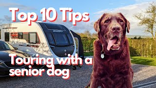 Caravanning with a Senior Dog  Caravan Vlogs from Mac amp Sarah [upl. by Farand]