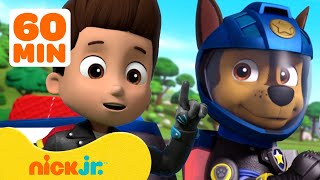 Paw Patrol The ULTIMATE Cute Dogs Compilation Best Scenes ⚡ 4K [upl. by Sellma]