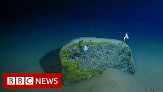 Mariana Trench Recordbreaking journey to the bottom of the ocean  BBC News [upl. by Nodnab]