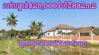 Real Estate 367ដីលក់បន្ទាន់25000 Cheap land for sale 085282882 [upl. by Lyons]