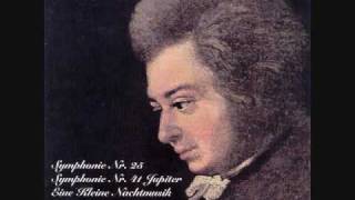 Mozart Symphony No 25 in G minor [upl. by Neruat]