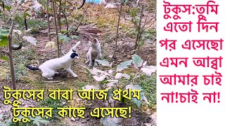 আজ টুকুসের বাবার সাথে পরিচিত হন সবাই টুকুসের বাবা তার মেয়েকে নিতে এসেছে টুকুস কি চলে যাবেCat Video [upl. by Sualk]