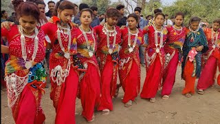 पलवी नि छोरी रमवा नि आवे रे गीत  Adivasi Navai Diwasa Garba 2024  नवाईगरबागीत  नवाईगरबागीत2024 [upl. by Adnileb]