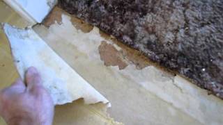 How To Remove Old Linoleum [upl. by Gilbert867]