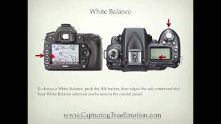 Nikon D90 Settings [upl. by Flanders]