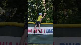 Filmed the Outfield Wall Just in Case🤯 dingersornothing wiffleball baseball shorts [upl. by Anauq719]